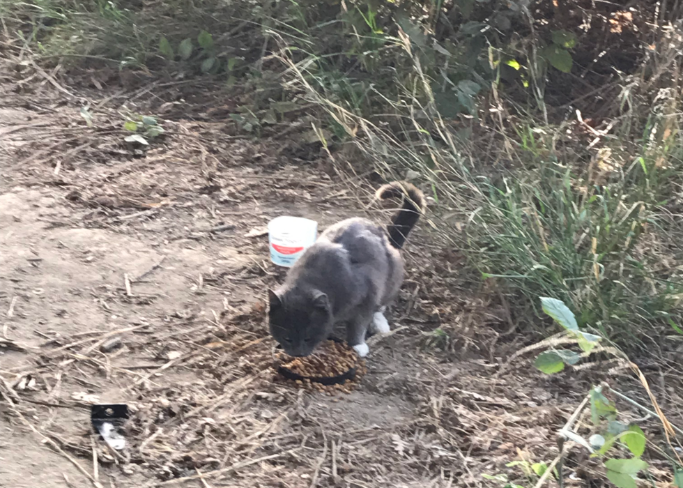 (Photo by Jennifer Fergesen)