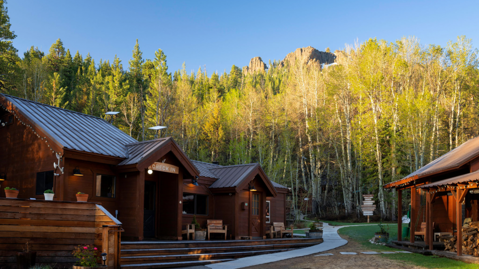 A Cabin in the Woods | Comstock's magazine - Vimarsana News