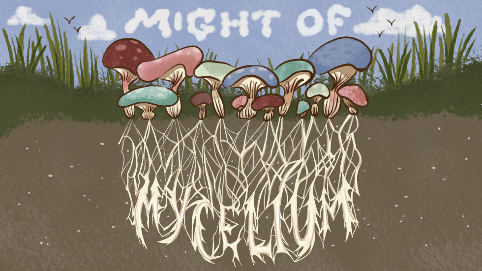 The Might of Mycelium