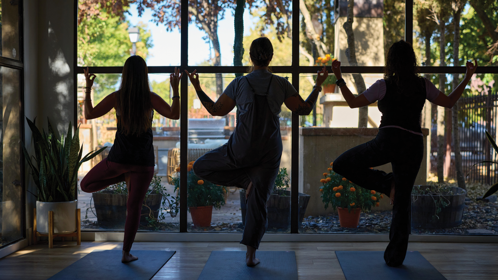 The Rise of Alternative Health and Wellness The Rise of Alternative Health and Wellness