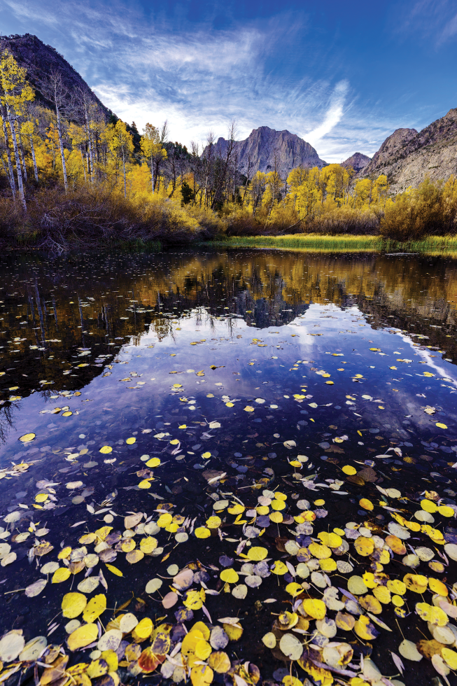 The Scotts Lake Trail, which starts at Luther Pass, takes you through several aspen groves and includes a beautiful view of Scotts Lake surrounded by aspens. (Photo by Brad Branan)