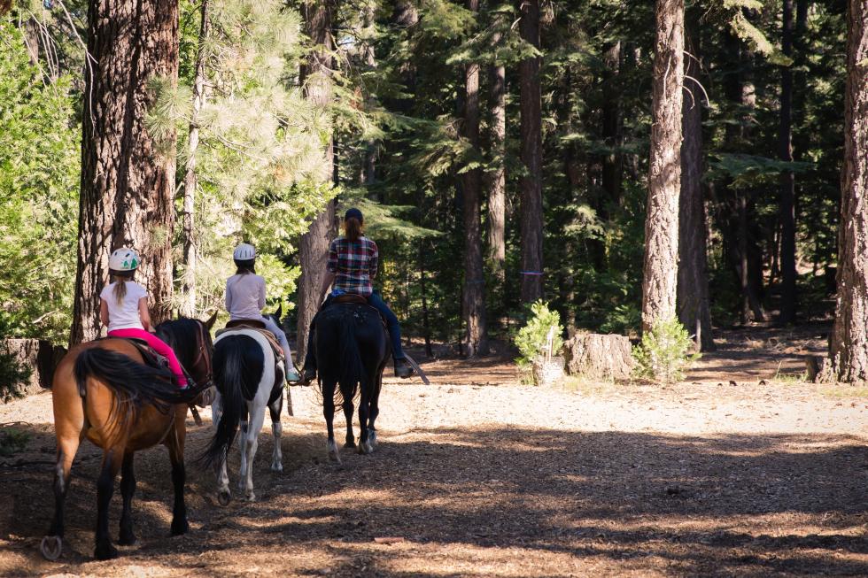 Equestrians ride a horse trail in Northern California. (Shutterstock photo)
