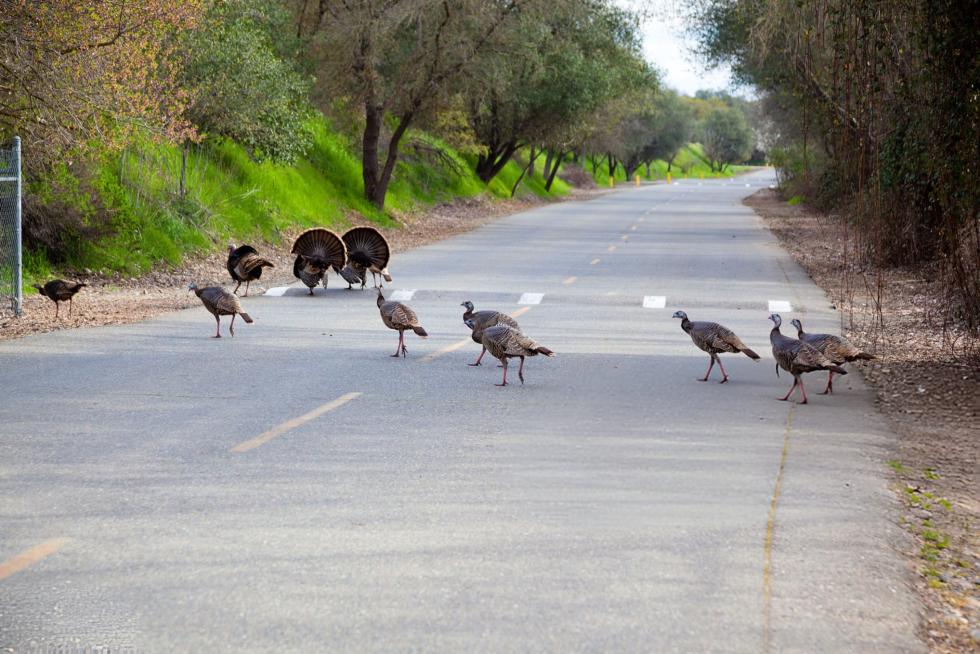 (Shutterstock photo)