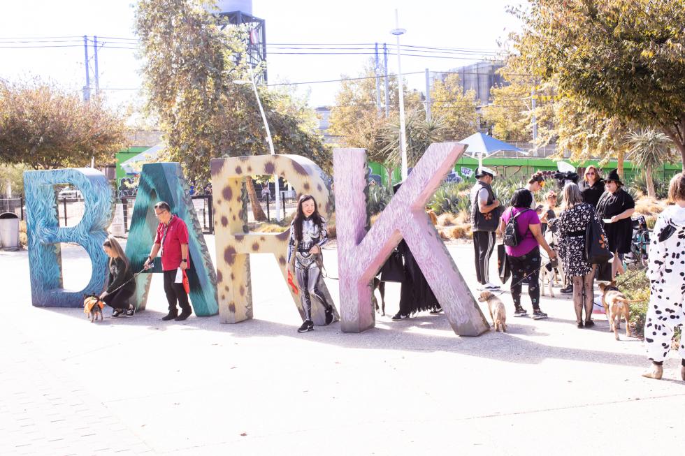 200 Costumed Dogs March Through Midtown | Comstock's magazine - Vimarsana News