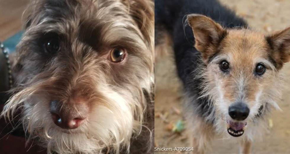 (Photo by Valerie Piotrowski)