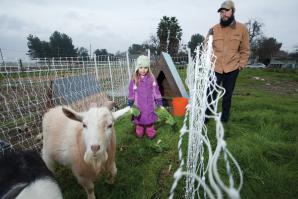 Urban farmer Dan Gannon maintains a half-acre plot in West Sacramento with help from 4-year-old daughter, Frankie.