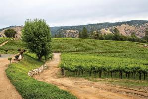 Gold Hill Winery in Placerville