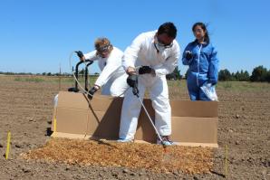 From left: Anna Zwieniecka, Jessica Wong and Peiman Aminabadi spray a harmless strain of E. coli on cantaloupe crops at a UC Davis test field. (Photos by Sena Christian)