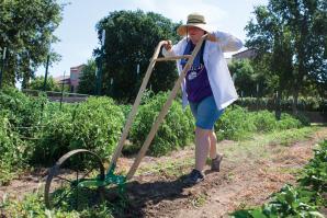 Hope Sippola, of Fiery Ginger Farm, uses a high wheel cultivator at her site in West Sacramento.