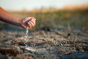 Ongoing drought conditions have cost rice farmer Mike DeWit 30 percent of his crop. He's not alone. This year, California's rice farmers will leave nearly 100,000 acres unplanted due to lack of water.