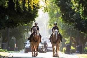 California Highway Patrol Officer Jeff Lane first wound up on horseback when his young son wanted to take riding lessons. “I was so scared, I took a gun,” he recalls. But Lane’s mind quickly changed, and “I actually left flying helicopters to ride horses,” he says.