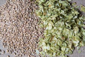 Summer hops and amber malt

(shutterstock)