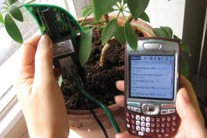 Botanicalls technology sends Twitter updates to users when plants need water.

(Photo courtesy of Botanicalls)
